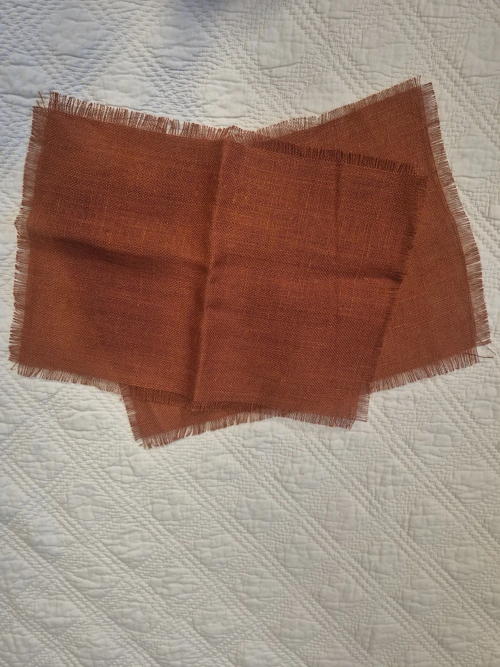 Orange Weave Placemats 2 PC Set